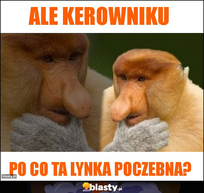 Ale kerowniku