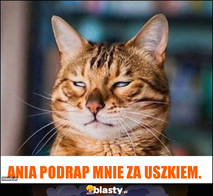 Ania podrap mnie za uszkiem. Ania podrap mnie za uszkiem.