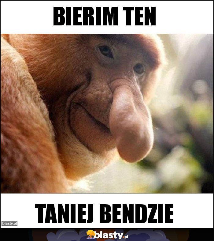 BIERIM TEN BIERIM TEN