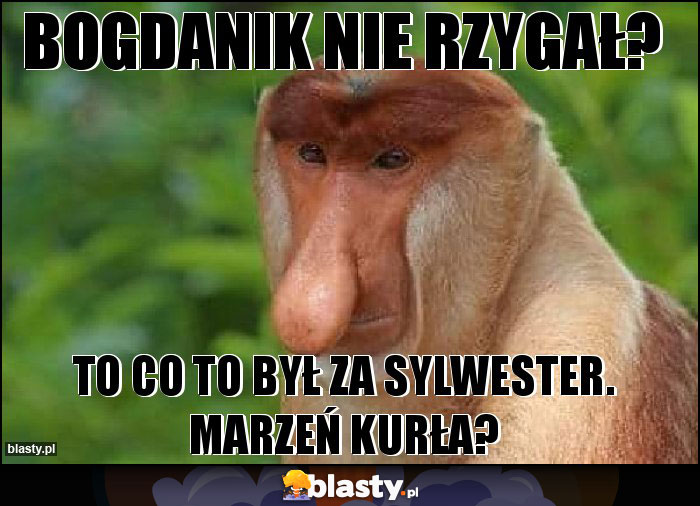 Bogdanik nie rzygał? Bogdanik nie rzygał?