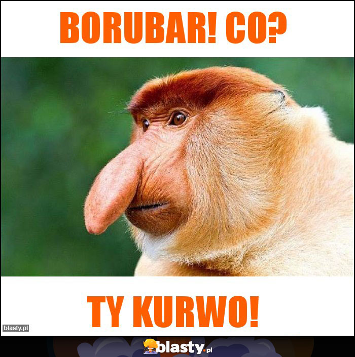 Borubar! Co? Borubar! Co?