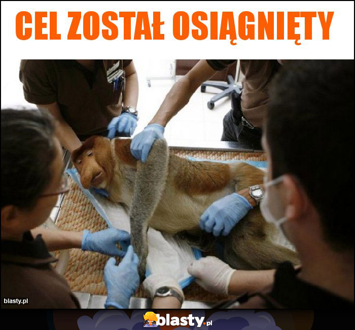 CEL ZOSTAŁ OSIĄGNIĘTY CEL ZOSTAŁ OSIĄGNIĘTY