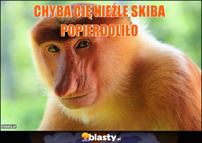 Chyba Cię nieźle Skiba popierdoliło Chyba Cię nieźle Skiba popierdoliło
