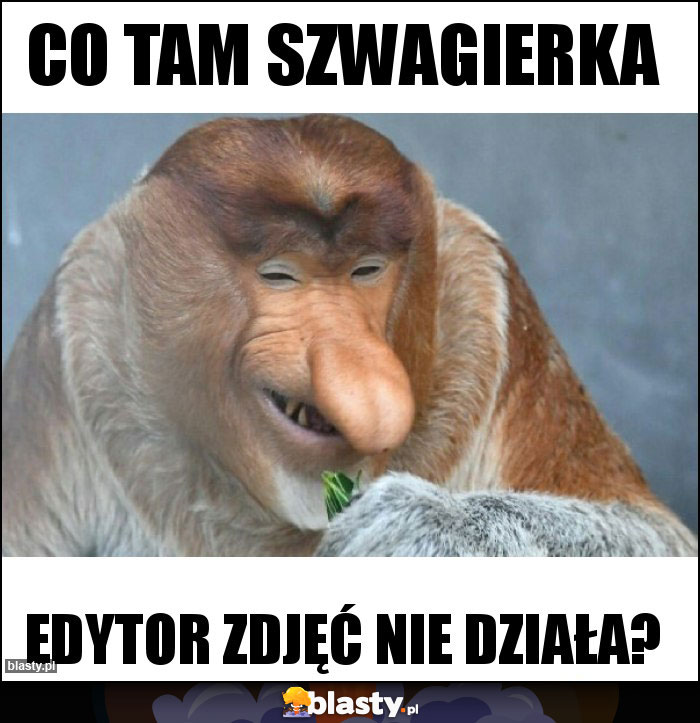 Co tam szwagierka Co tam szwagierka