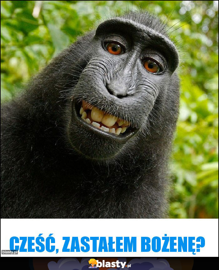 Cześć, zastałem Bożenę? Cześć, zastałem Bożenę?