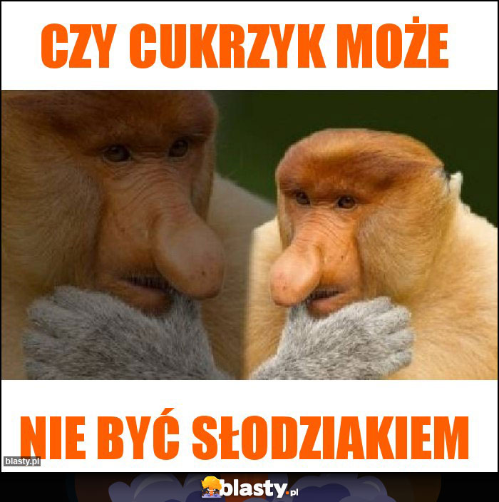 Czy cukrzyk może Czy cukrzyk może