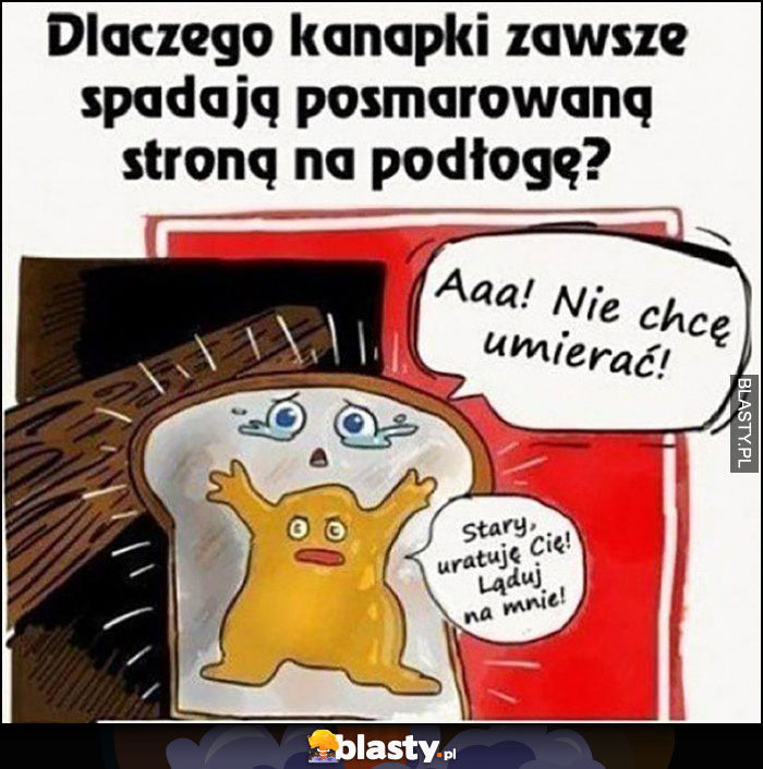 Dlaczego kanapki zawsze spadają posmarowaną stroną na podłogę? Kanapka nie chcę umierać, masło: stary uratuję Cię, ląduj na mnie