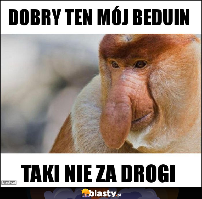 Dobry ten mój Beduin Dobry ten mój Beduin