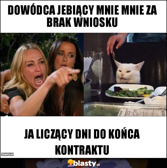 Dowódca jebiący mnie mnie za brak wniosku Dowódca jebiący mnie mnie za brak wniosku
