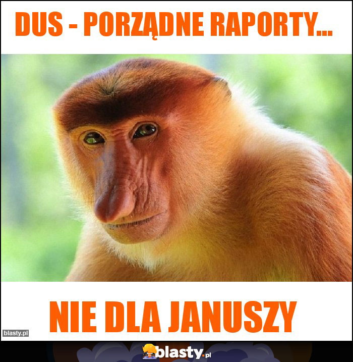 DUS - Porządne raporty... DUS - Porządne raporty...