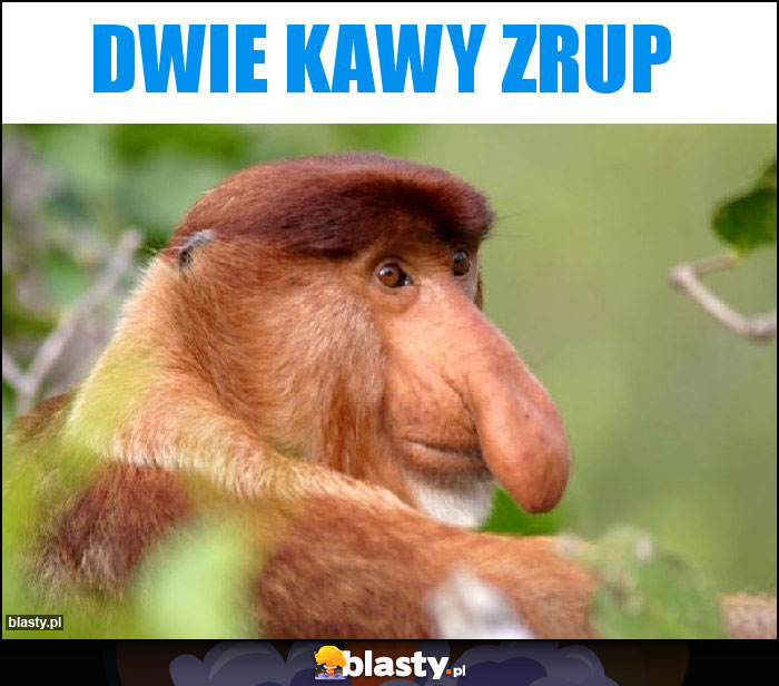 Dwie kawy zrup Dwie kawy zrup