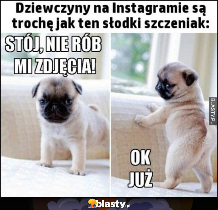 Dziewczyny na Instagramie są trochę jak ten słodki szczeniak: stój, nie rób mi zdjęcia, ok już pozuje