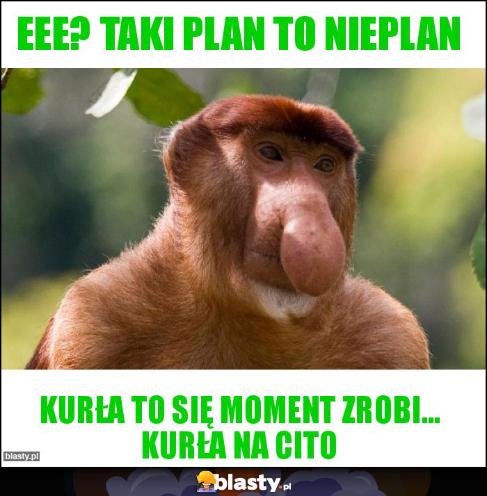 eee? taki plan to nieplan eee? taki plan to nieplan