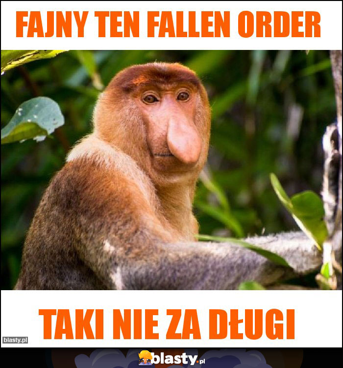 Fajny ten Fallen order Fajny ten Fallen order