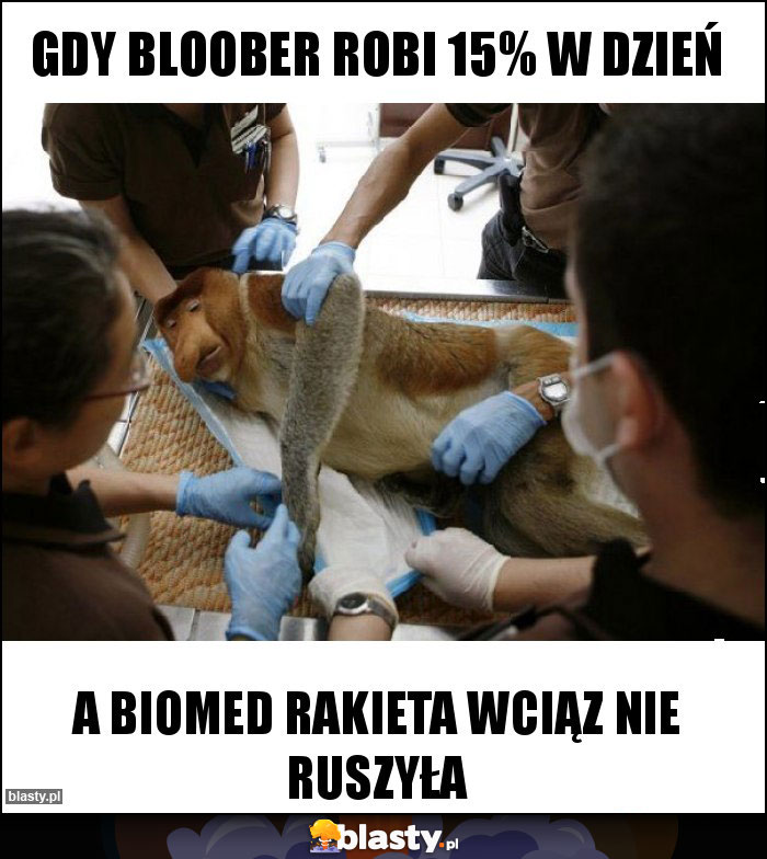 Gdy Bloober robi 15% w dzień Gdy Bloober robi 15% w dzień