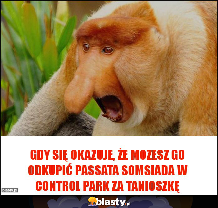 Gdy się okazuje, że mozesz go odkupić Passata somsiada w Control Park za tanioszkę Gdy się okazuje, że mozesz go odkupić Passata somsiada w Control Park za tanioszkę