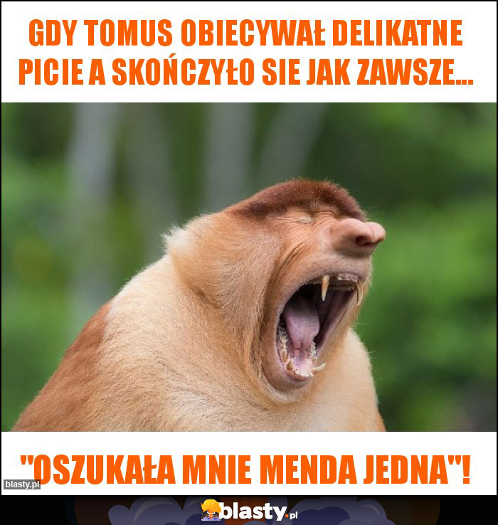 Gdy Tomus obiecywał delikatne picie a skończyło sie jak zawsze... Gdy Tomus obiecywał delikatne picie a skończyło sie jak zawsze...
