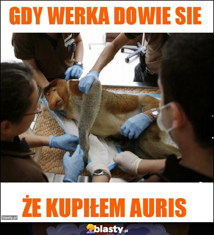 Gdy werka dowie sie Gdy werka dowie sie