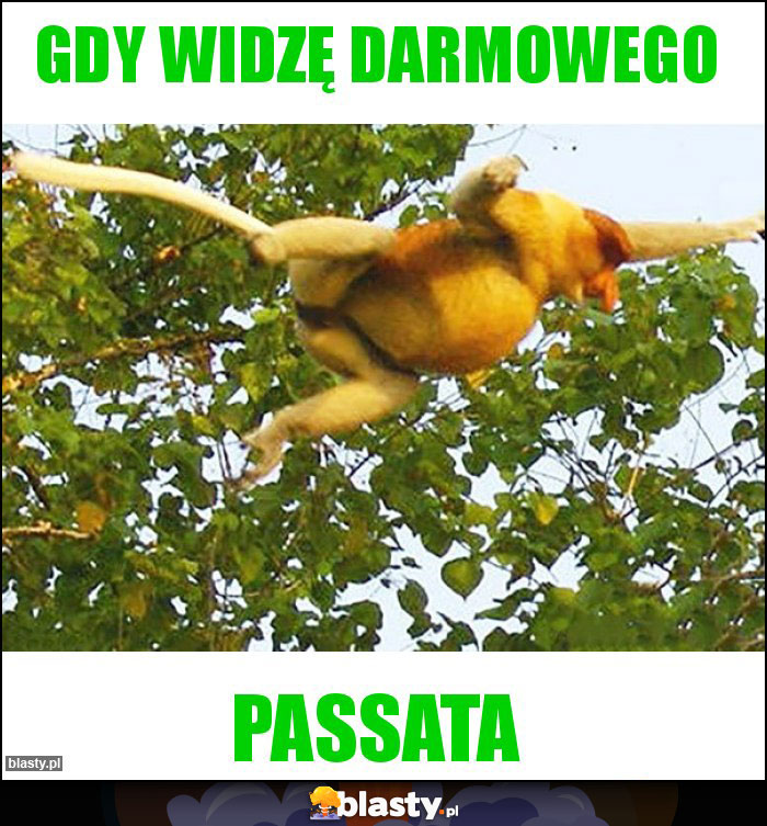 Gdy widzę darmowego Gdy widzę darmowego