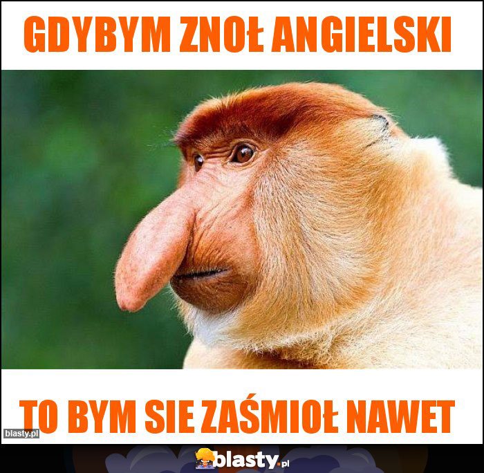 Gdybym znoł angielski Gdybym znoł angielski