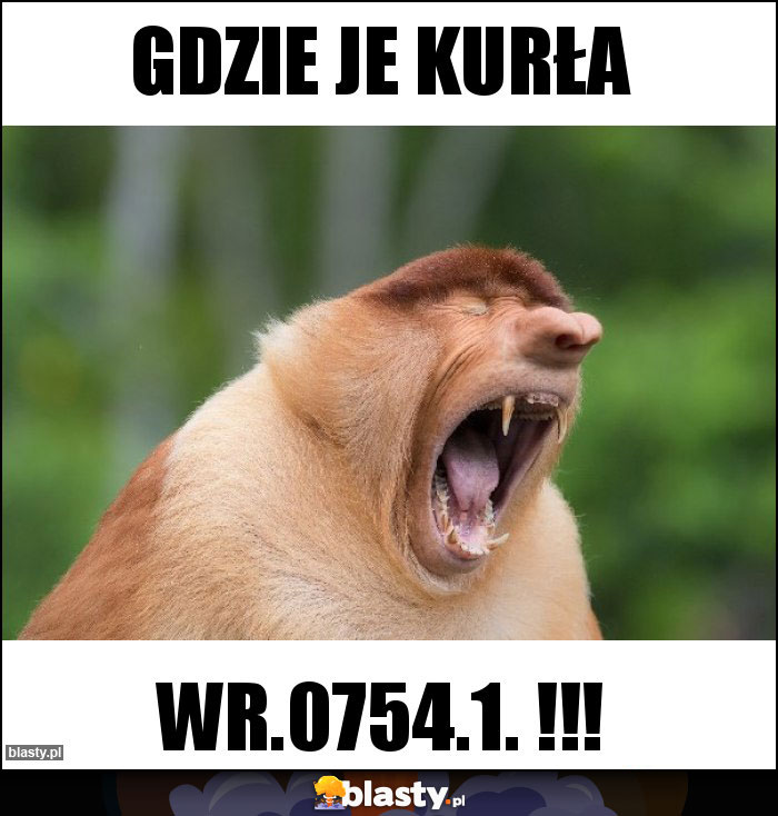 gdzie je kurła gdzie je kurła