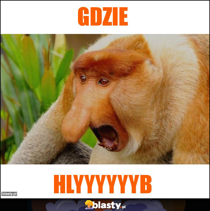 Gdzie
