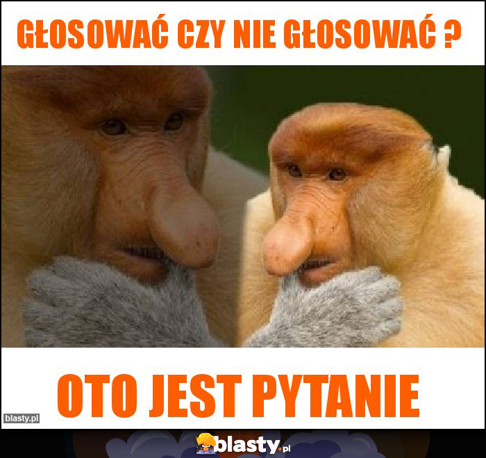 Głosować czy nie głosować ? Głosować czy nie głosować ?