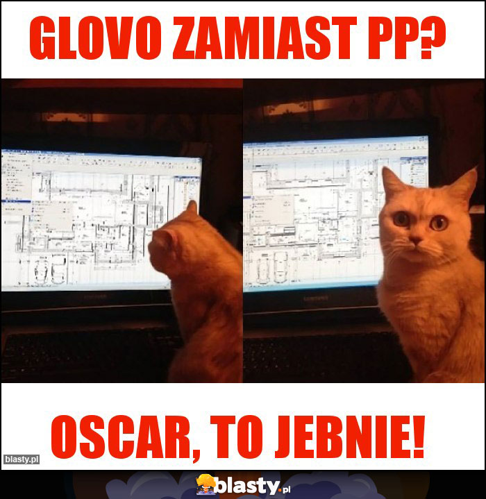 GLOVO ZAMIAST PP? GLOVO ZAMIAST PP?