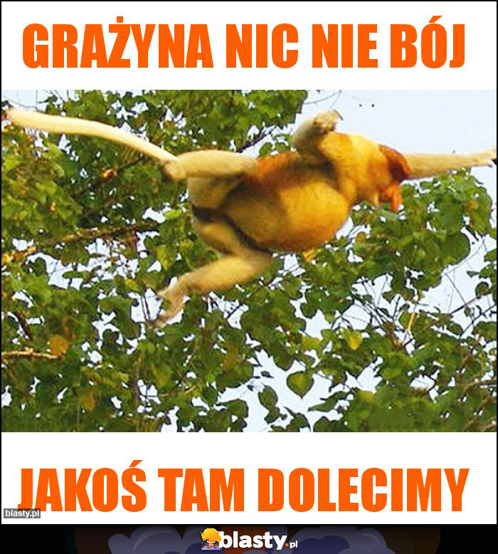 Grażyna nic nie bój Grażyna nic nie bój