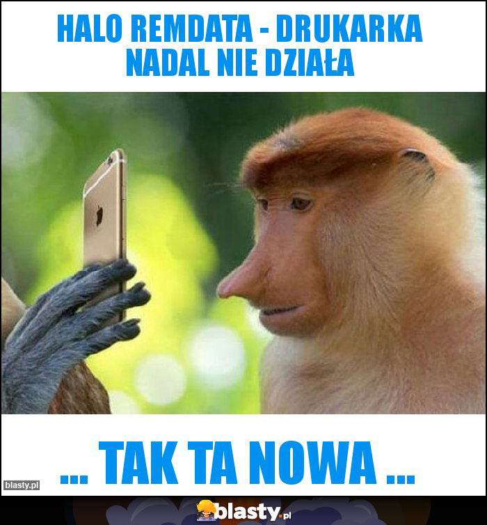 Halo RemData - drukarka nadal nie działa Halo RemData - drukarka nadal nie działa