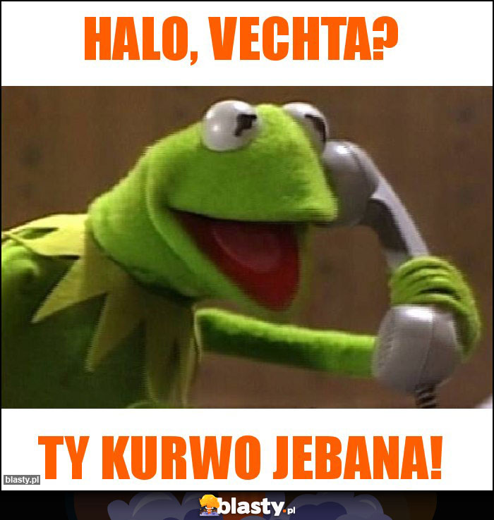 Halo, Vechta?