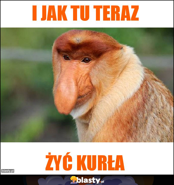 I Jak tu teraz I Jak tu teraz