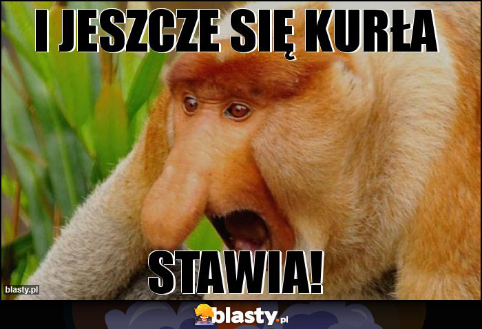 I jeszcze się kurła I jeszcze się kurła