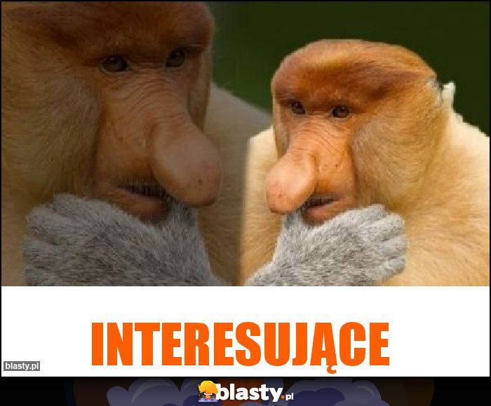 Interesujące Interesujące