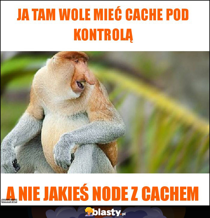 ja tam wole mieć cache pod kontrolą ja tam wole mieć cache pod kontrolą