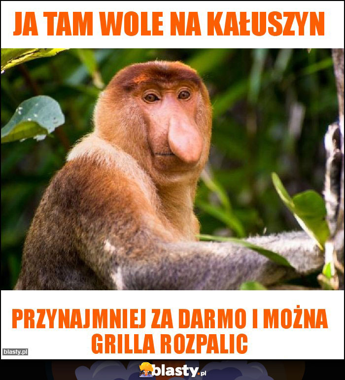 Ja tam wole na Kałuszyn Ja tam wole na Kałuszyn