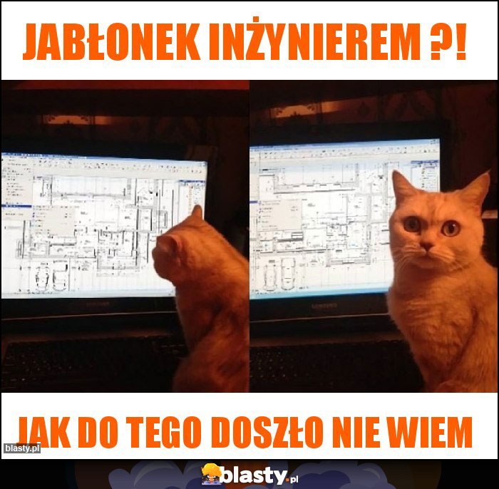 Jabłonek inżynierem ?! Jabłonek inżynierem ?!