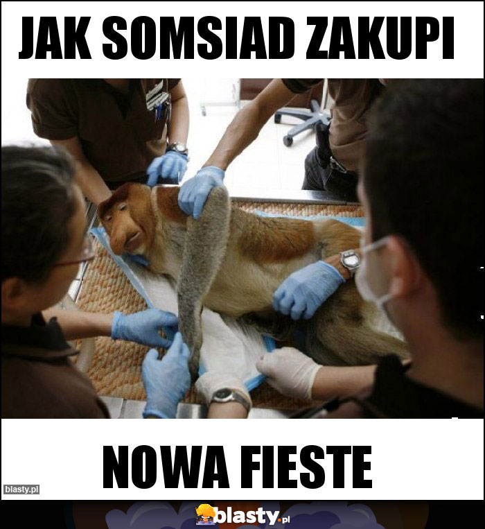 Jak somsiad zakupi Jak somsiad zakupi
