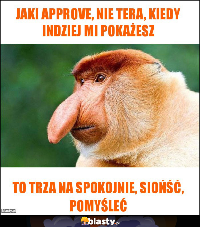 jaki approve, nie tera, kiedy indziej mi pokażesz jaki approve, nie tera, kiedy indziej mi pokażesz