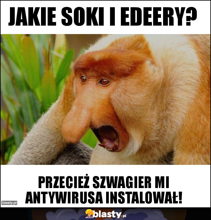 Jakie soki i edeery? Jakie soki i edeery?
