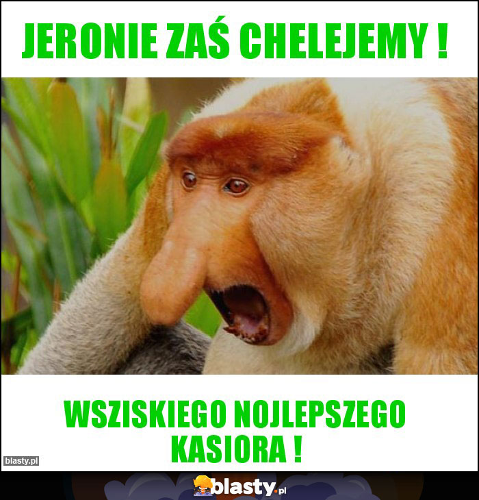 Jeronie zaś chelejemy ! Jeronie zaś chelejemy !