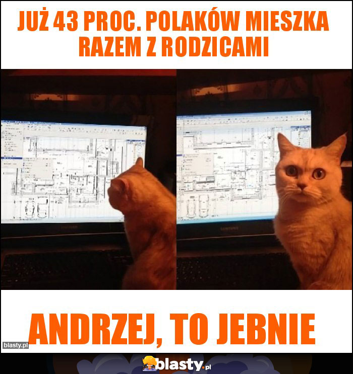 już 43 proc. Polaków mieszka razem z rodzicami już 43 proc. Polaków mieszka razem z rodzicami