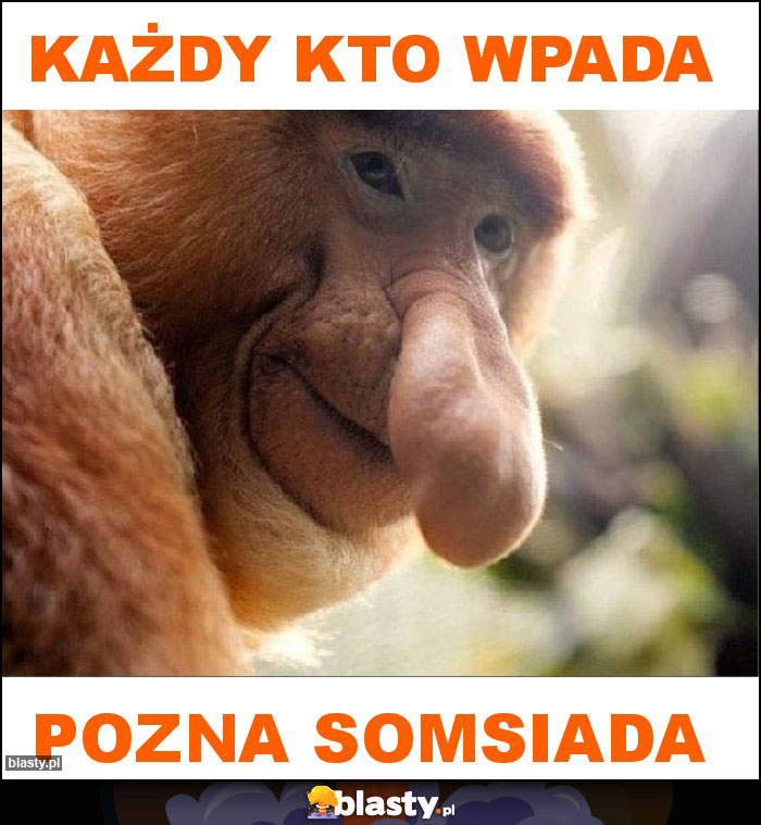Każdy kto wpada Każdy kto wpada