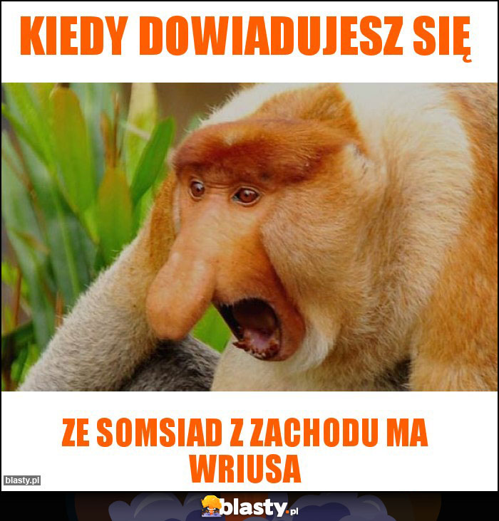 Kiedy dowiadujesz się Kiedy dowiadujesz się