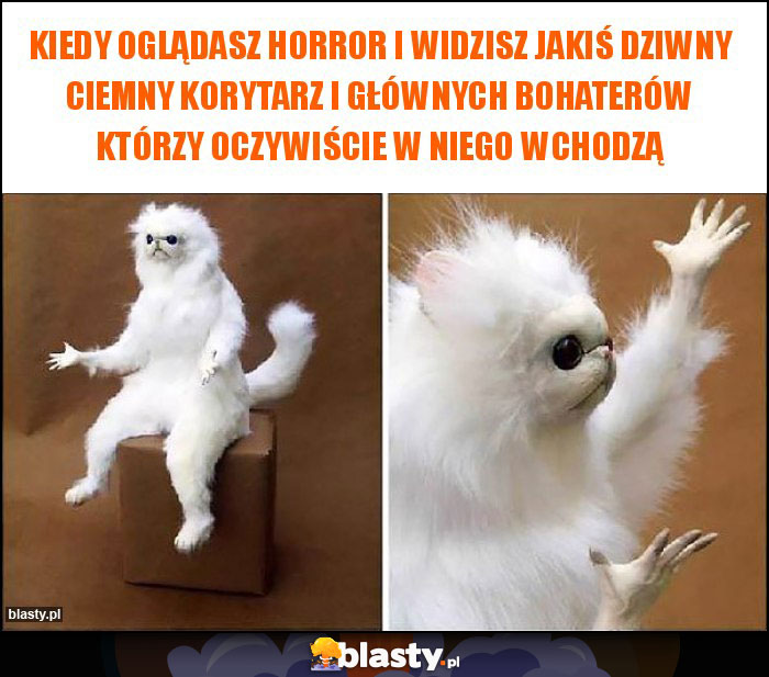 Kiedy oglądasz horror i widzisz jakiś dziwny ciemny korytarz i głównych bohaterów którzy oczywiście w niego wchodzą Kiedy oglądasz horror i widzisz jakiś dziwny ciemny korytarz i głównych bohaterów którzy oczywiście w niego wchodzą