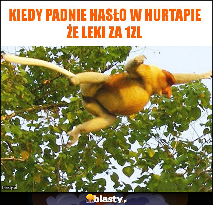 Kiedy padnie hasło w hurtapie że leki za 1zl Kiedy padnie hasło w hurtapie że leki za 1zl