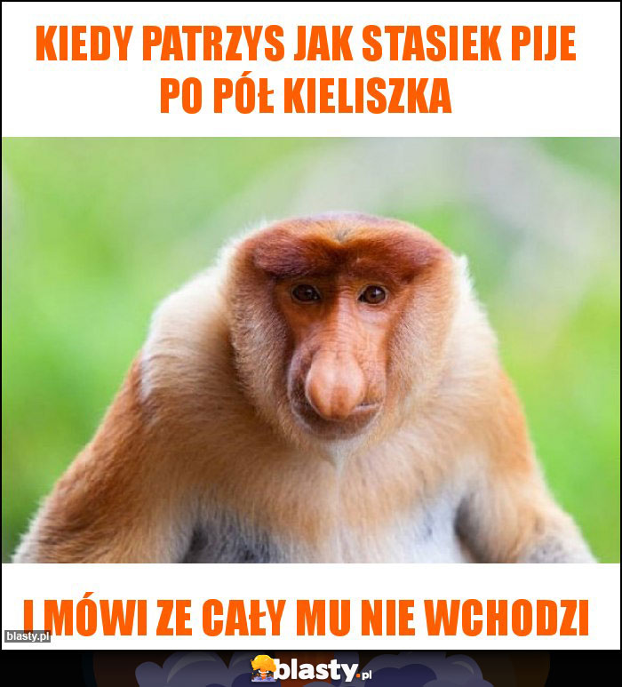 Kiedy patrzys jak Stasiek pije po pół kieliszka Kiedy patrzys jak Stasiek pije po pół kieliszka