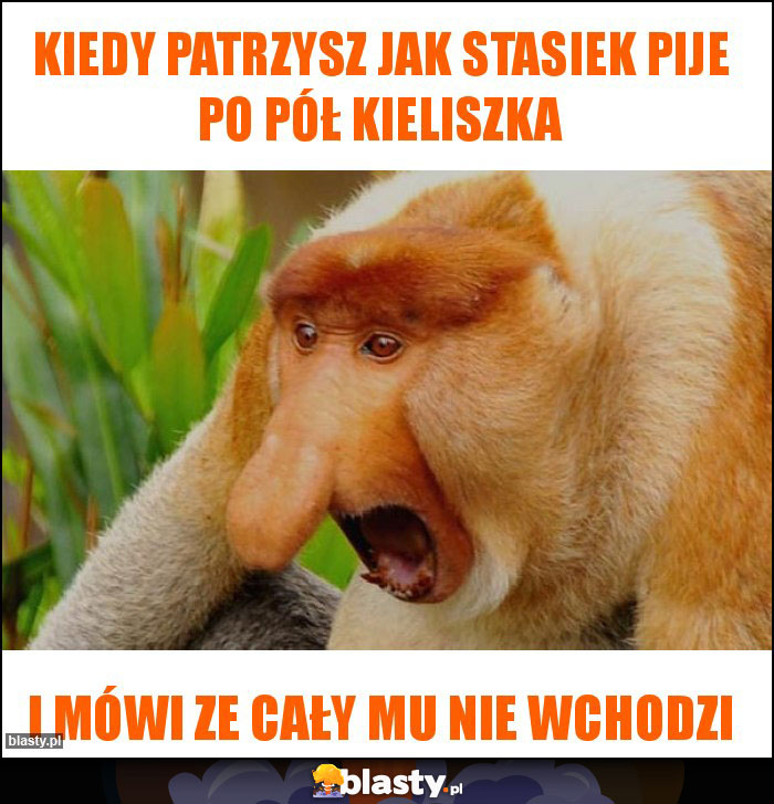 Kiedy patrzysz jak Stasiek pije po pół kieliszka Kiedy patrzysz jak Stasiek pije po pół kieliszka