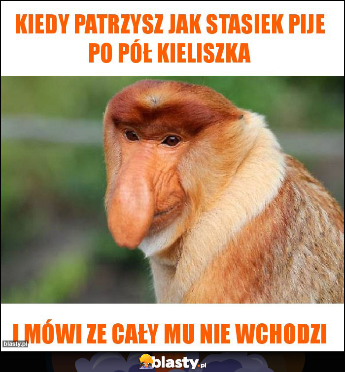 Kiedy patrzysz jak Stasiek pije po pół kieliszka Kiedy patrzysz jak Stasiek pije po pół kieliszka