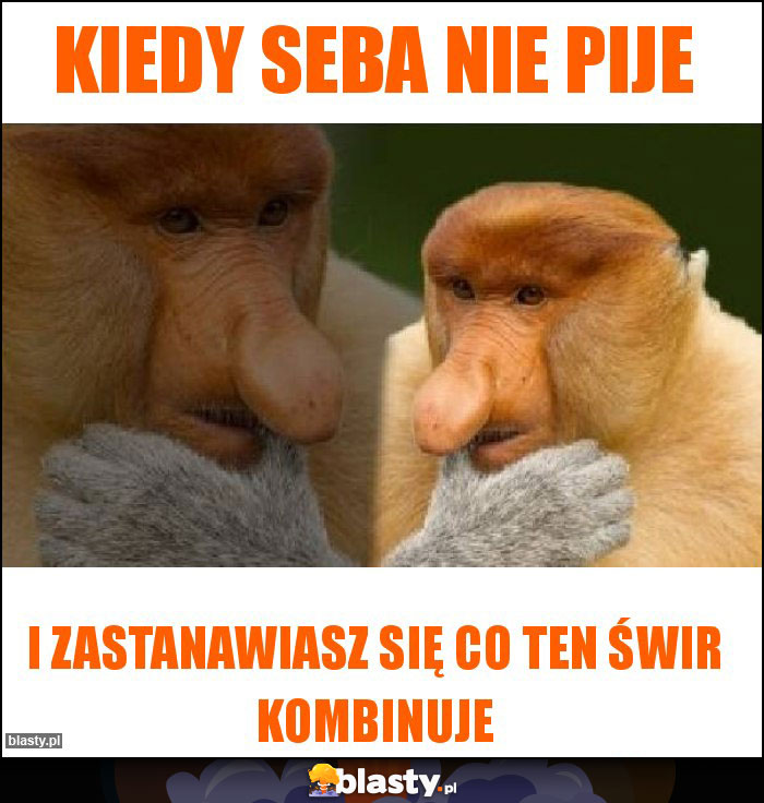 Kiedy Seba nie pije